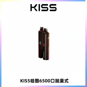 KIS5WAGOO哇酷6500口拋棄式 | 自由混搭雙口味 | 雙芯組合
