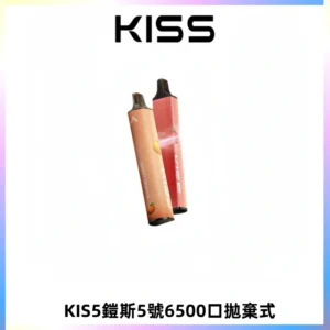 KIS5鎧斯5號一次性6500口磁吸式拋棄式電子煙#自由混搭#