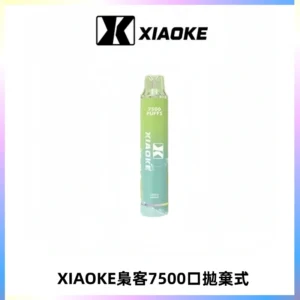 XIAOKE梟客7500Puffs跑馬燈拋棄式電子煙 可發光一次性